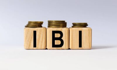 Qué es el IBI